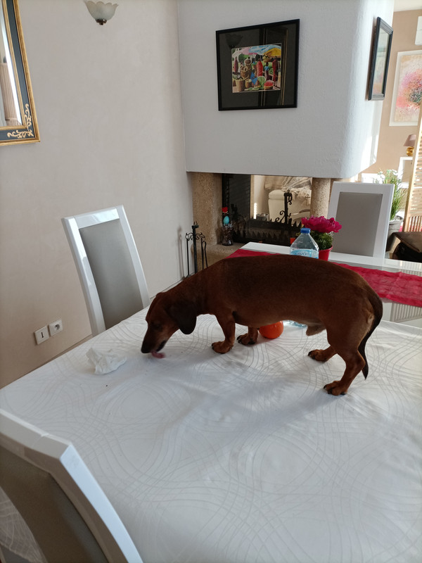 [Image: IMG20211123130508.jpg]