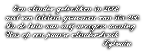 cooltext500179958241686