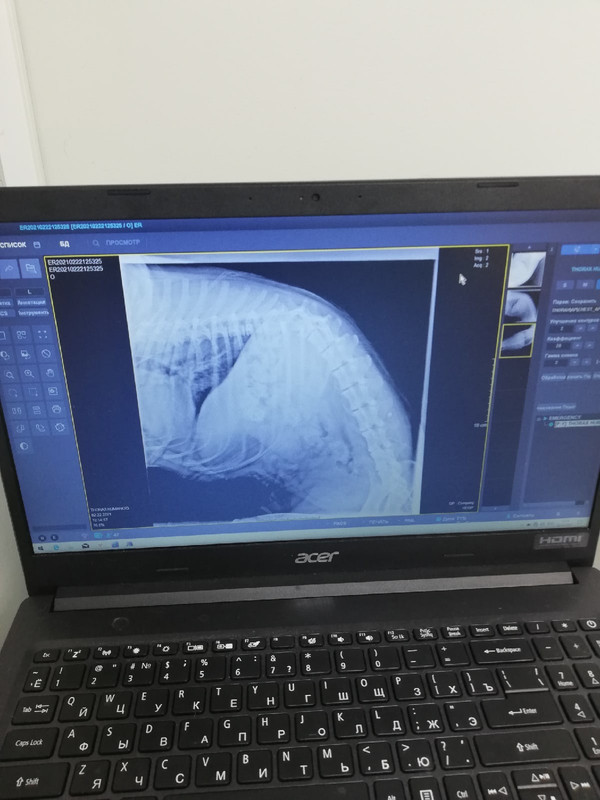 36848454-6ACF-4A21-AA37-189051CCCB19