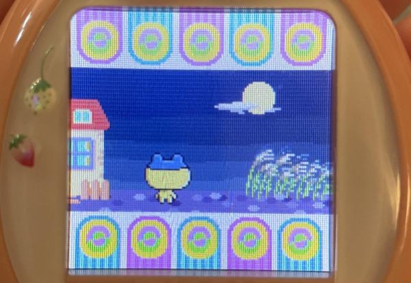 close up photograph of a tamagotchi plus color device. young-mametchi is on the screen, with his back to the viewer, and he is looking up at the moon silently while wind rustles a field of plants nearby
