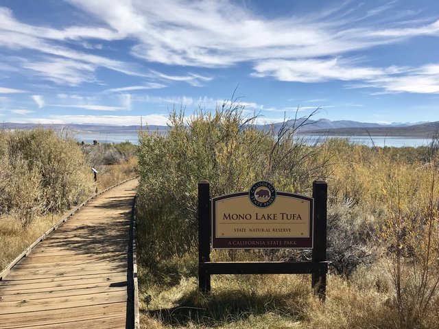 [Image: 64661631-6-D0-A-4545-BE88-625-E194-AF5-A6.jpg]