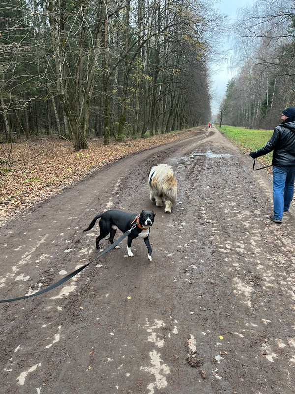 51D42842-2D31-4025-B7CF-66B3ADD0A9F3