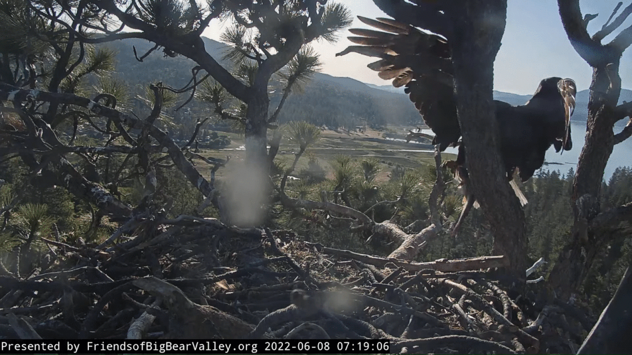 Webp.net-gifmaker (7)