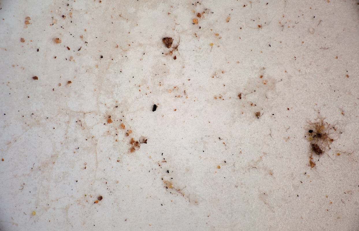 oeuf_interieur2000px10x