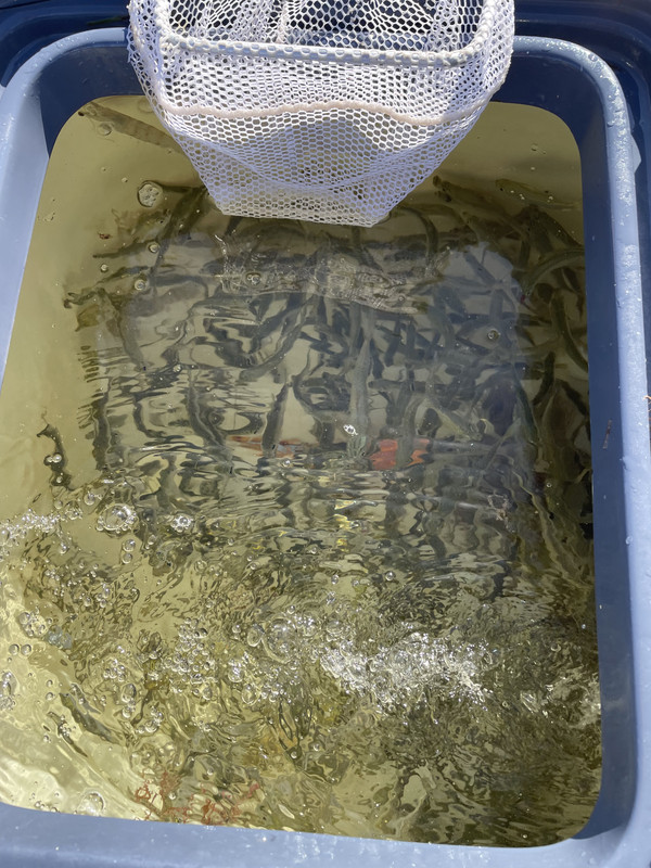 63511574-4738-49E7-A438-2E9C5140CCD1