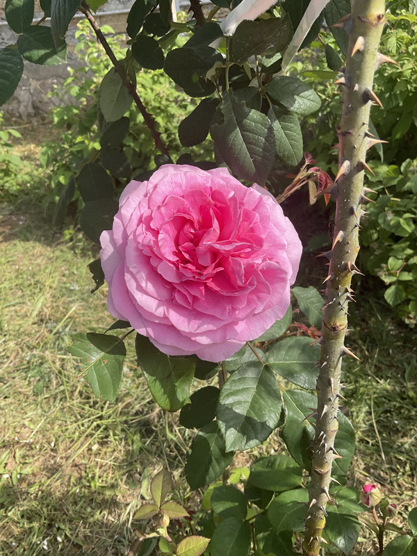 4D30F8AF-9CE0-493C-863F-CF4C0B2B2C5A