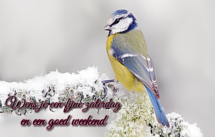 An den Beitrag angehängtes Bild: https://i.postimg.cc/SxfG5nbC/Naamloos.jpg