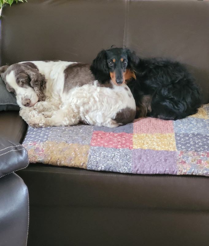 [Image: 20240722-141324.jpg]