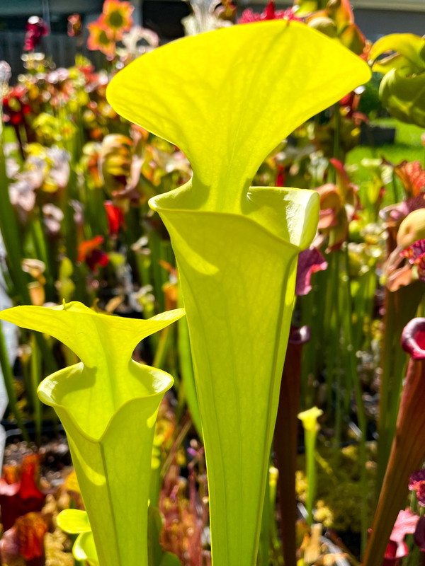 634DD7D5-34F4-428C-BD31-3A46E3053BC0