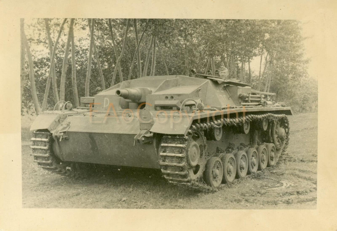 Panzer Wappen StuG Sturmgeschütz Tank Foto