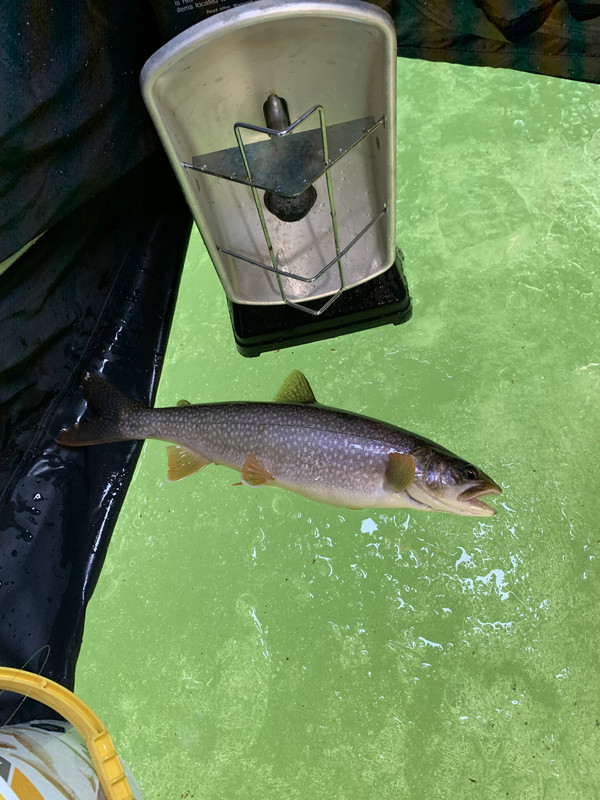 A95FC367-DE6A-426F-A391-80118A7DC417