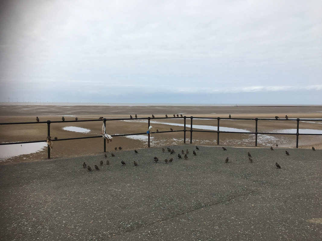 CCB43ED9-0C11-4116-B9E0-4F6699644678