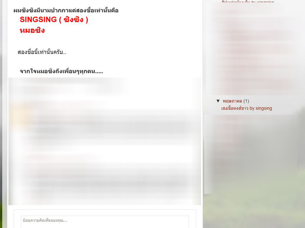 ซิงซิง