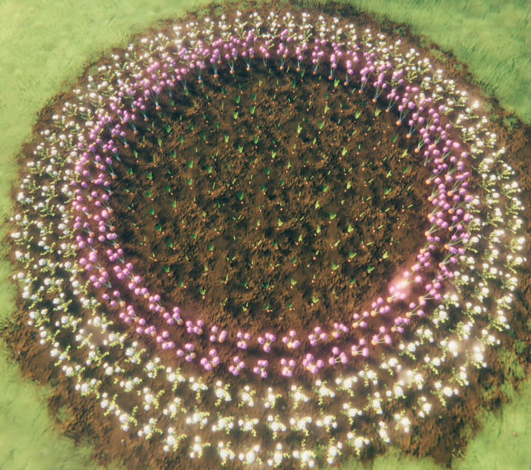 A planted multi-row circle
