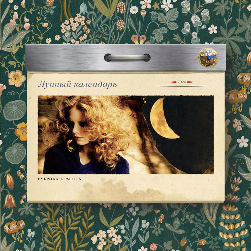 [Изображение: photo-2025-11-02-05-38-28.jpg]