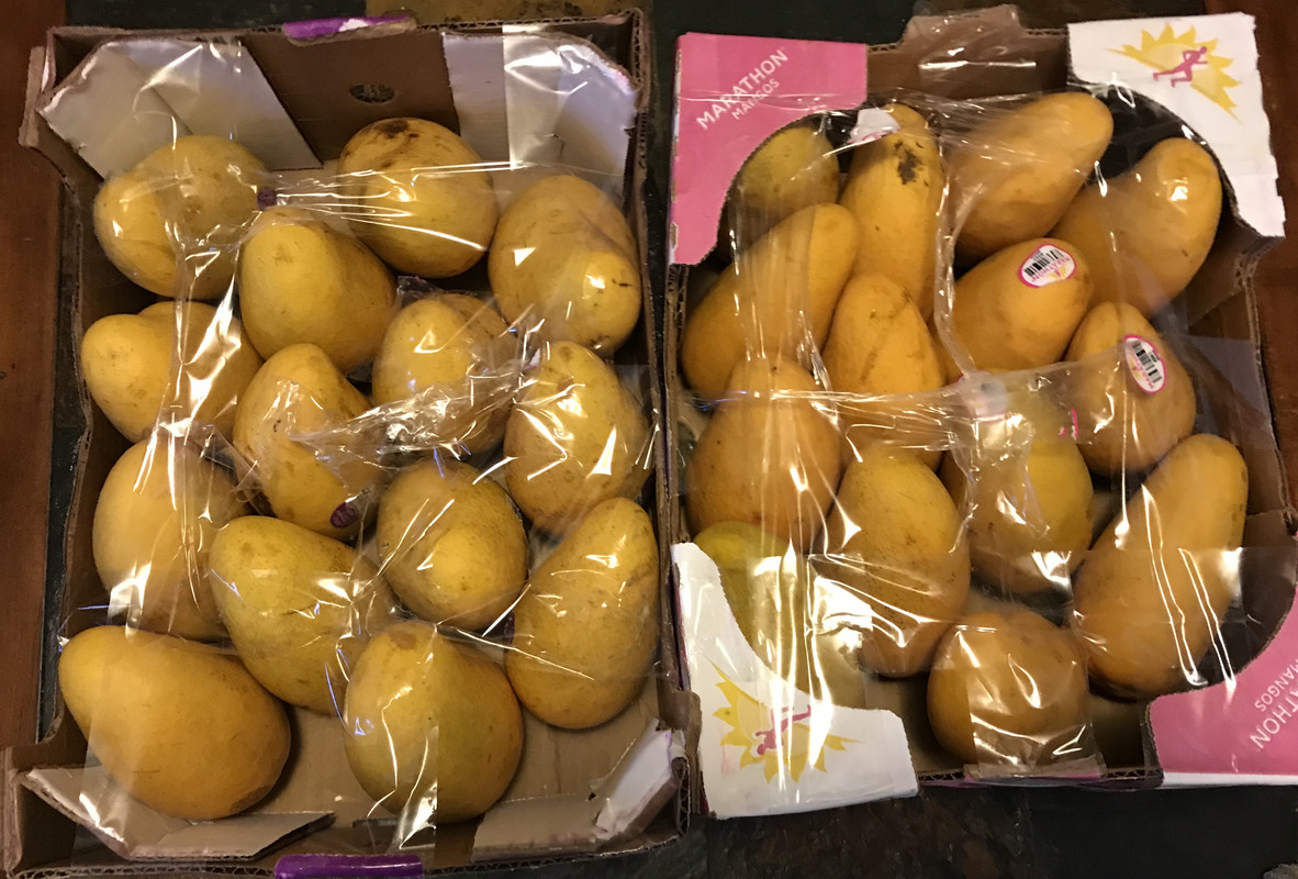 98AE0E75-CE77-4EC4-B57B-CD3AB3232580