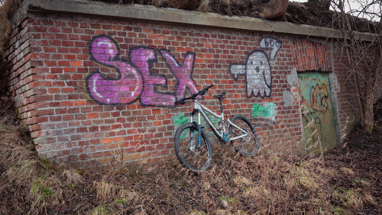 DSC3555.jpg