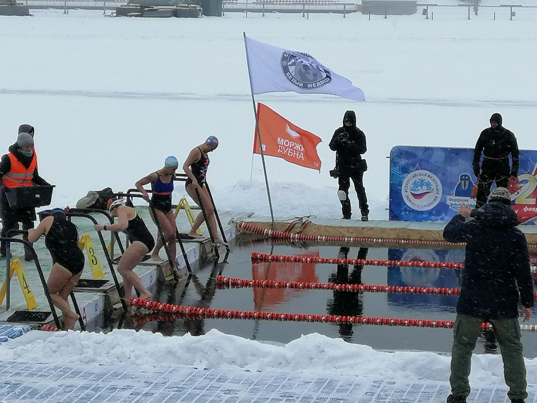 Старт одного из женских заплывов на 50 метров