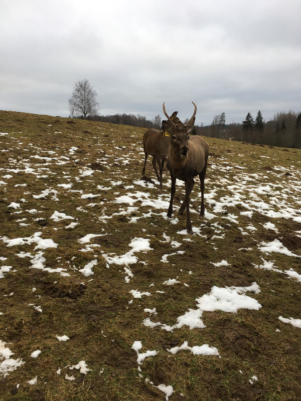 4A49C1F7-7929-4F63-9779-D31AD5417770