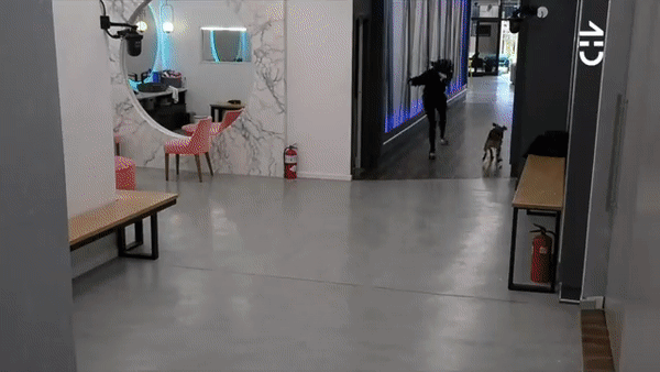 ezgif-com-video-to-gif-2.gif