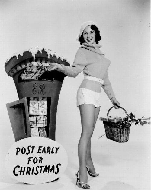 shirley_ann_field_a66