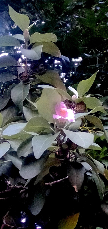 IMG20231118175904