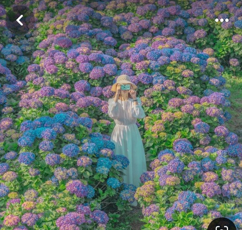 Screenshot_20240609_205310_Pinterest