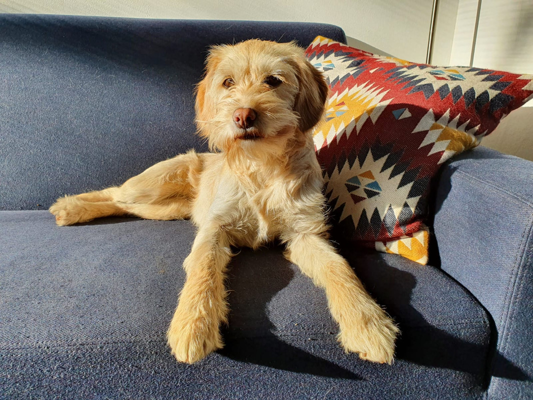 WhatsApp Image 2021-04-15 at 18.21.51