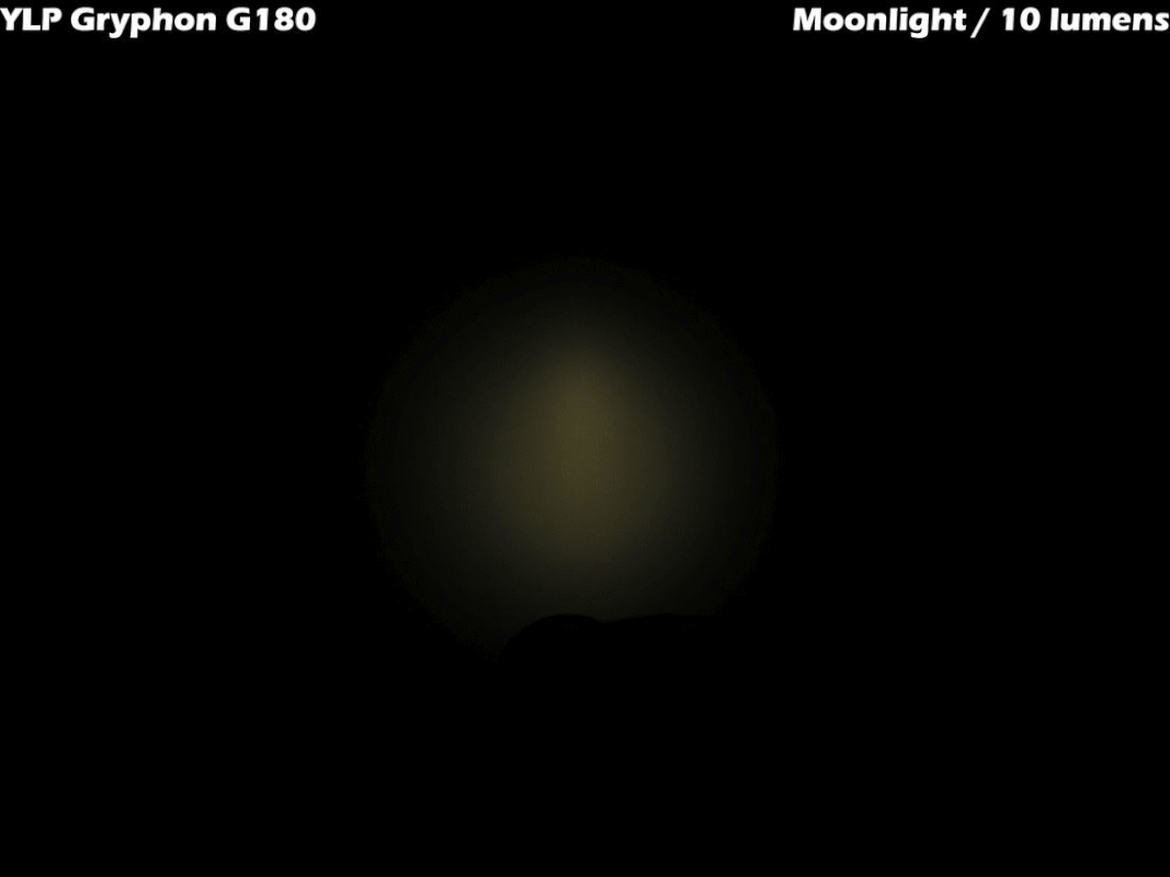 Gryphon G180 wall anim