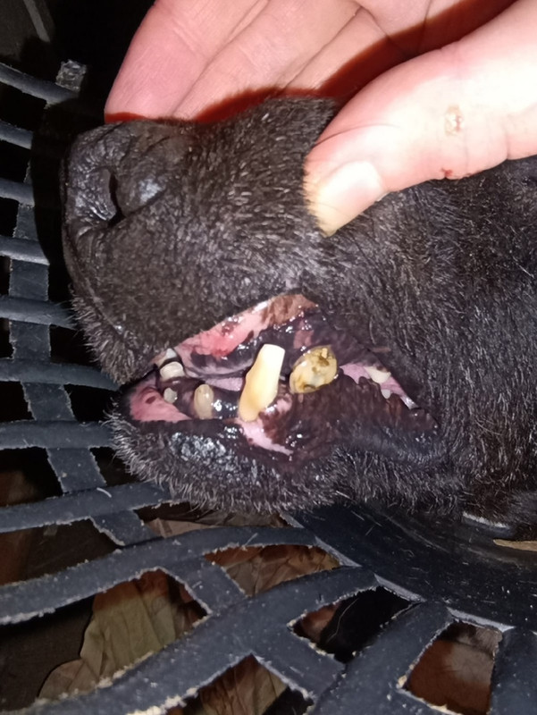 00-20-47-B64BVxzpwUg