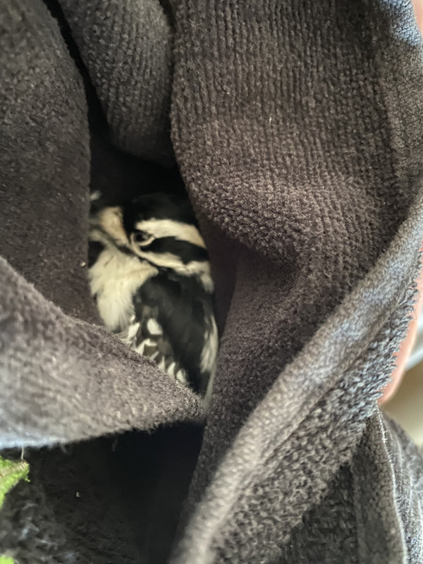 9B9C899C-52D8-4433-B8FE-2E96DA23B51F