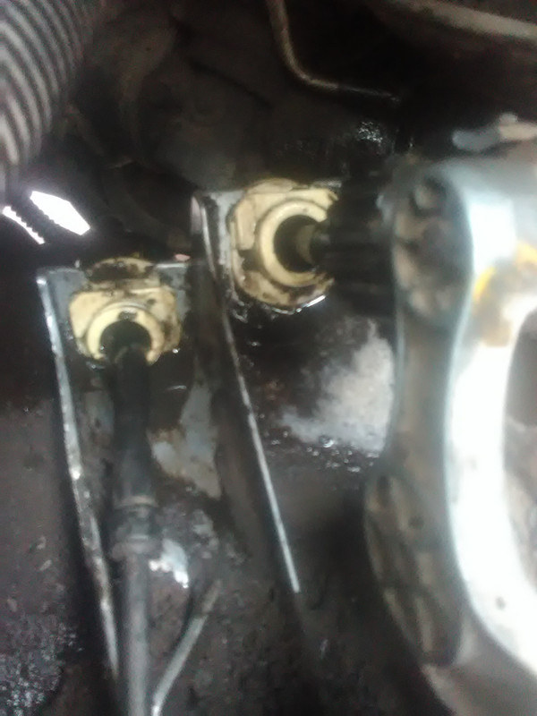 IMG_20190718_134048[1]