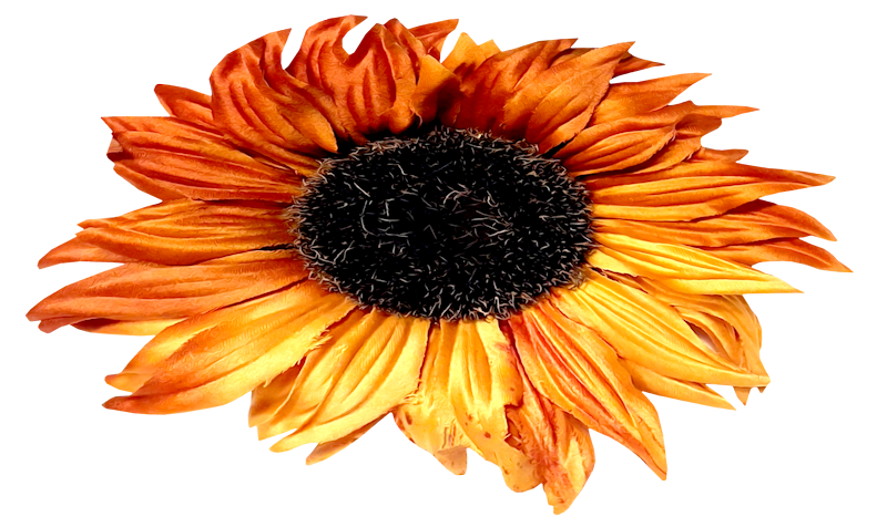 IPD_WP_Element (166)