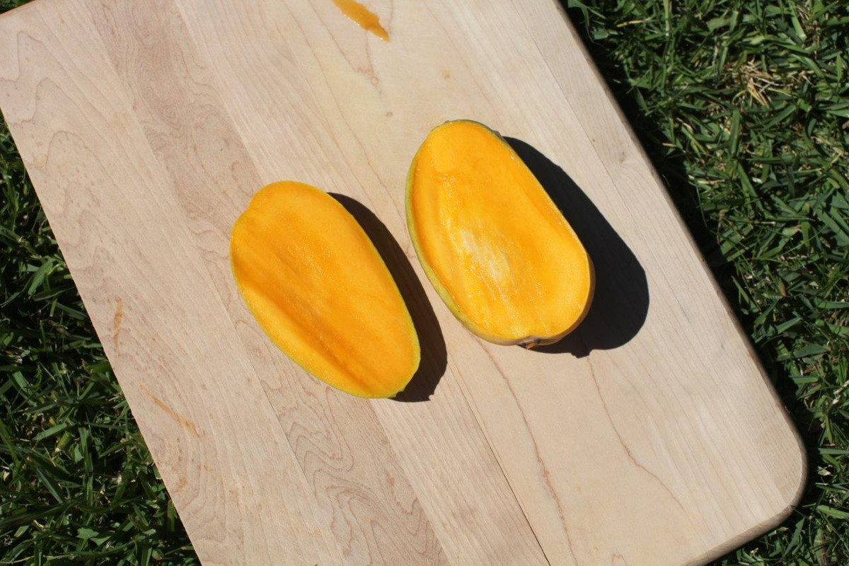 IMG_3398  Kesar Mango Cut Open 