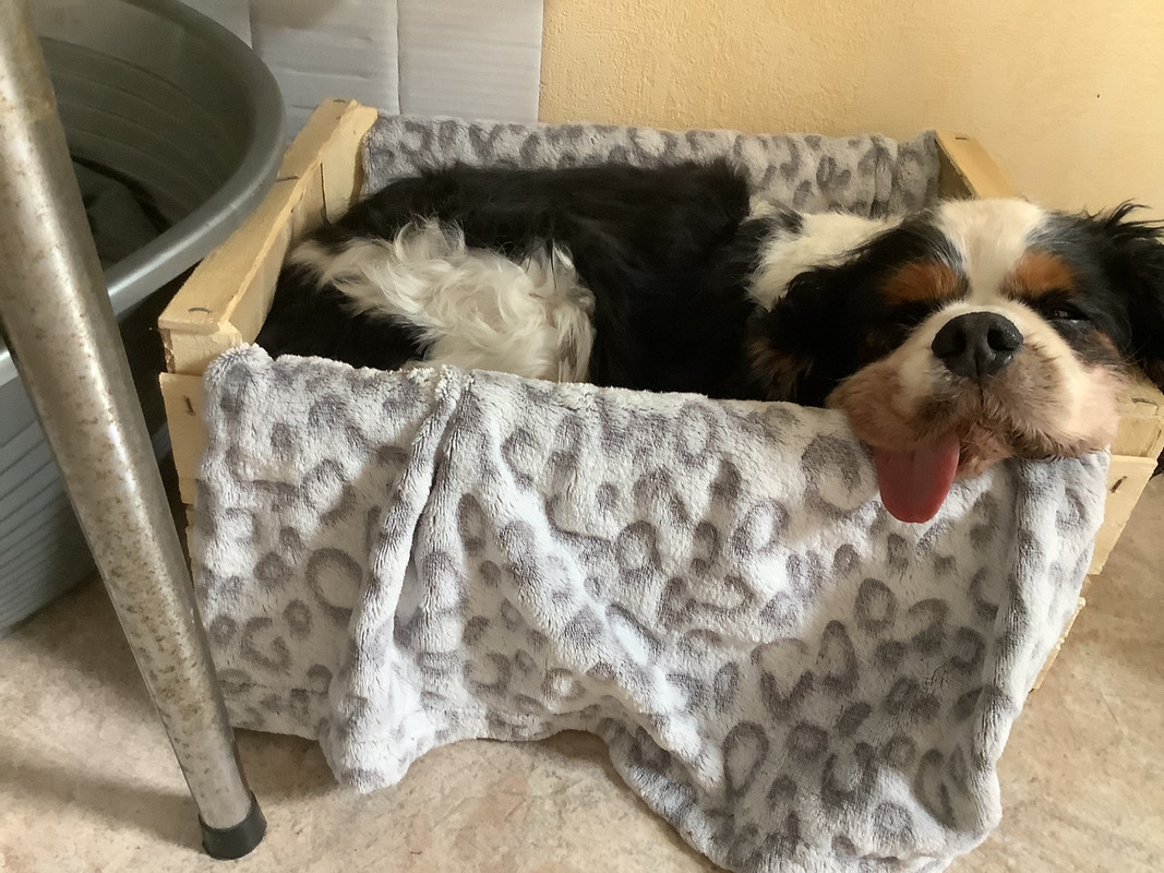 32A878A6-AF00-41DC-9BC6-E4E70B94B58B