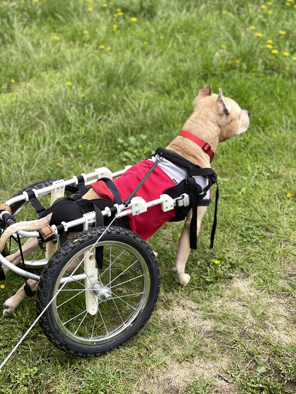 DF56EEF7-2933-4B76-8545-AB16D348DC44