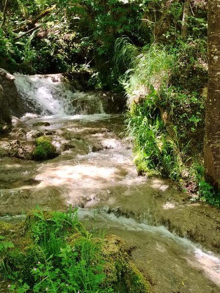 Slika
