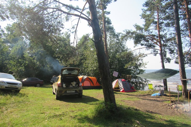 IMG-7111.jpg