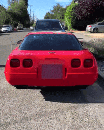 335.gif