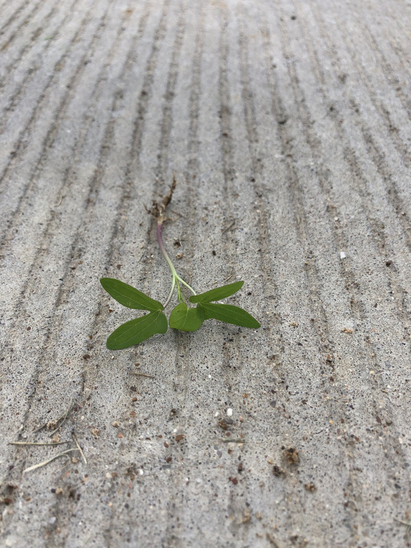 71953A68-9306-43F8-B95A-AE38895BB0C2