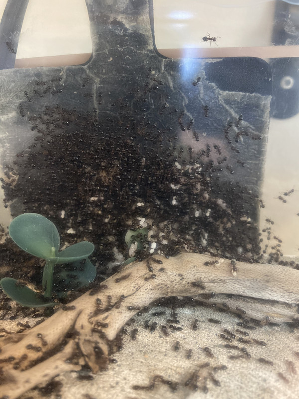 0CC94616-06B7-4E15-AF08-6608A125A654