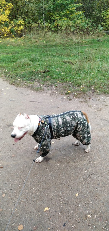 C069D1E2-1BCA-49F1-9FEB-A3FB01D6158D