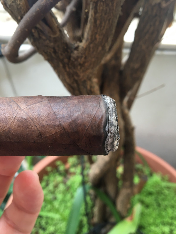 42BA9CEE-AF1C-482D-A225-86475DDAF89F