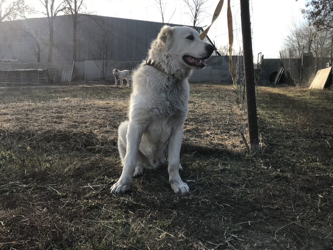 3669E6EA-4C5D-4BD0-B639-1E5D526271C0