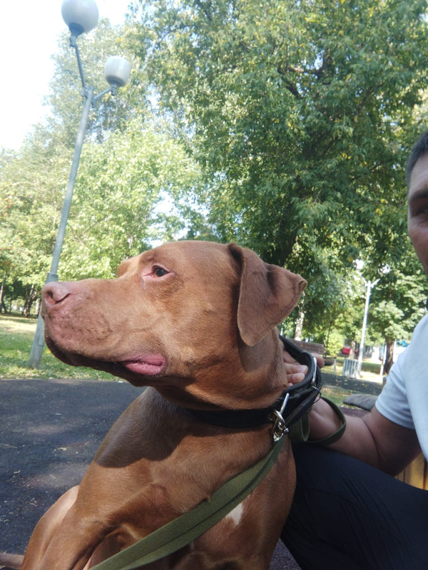 A682DE6C-ACFC-4230-9A3B-453A4C22A003