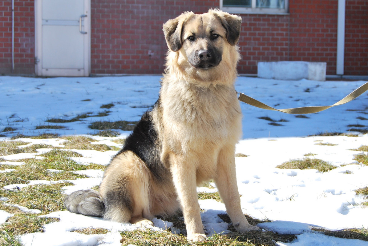 F7C4A495-D31C-469B-B0A1-984A3B76B91B