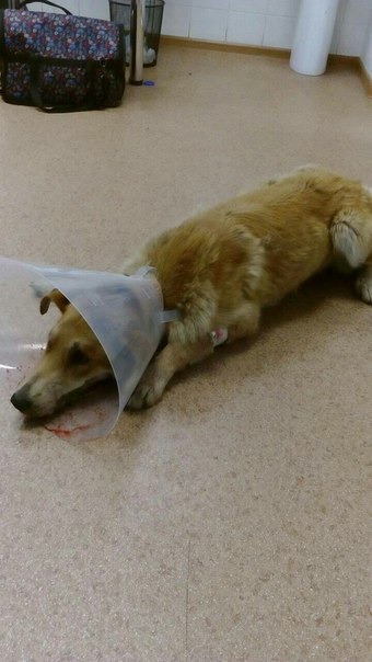 A2265128-54CF-4C94-AA3C-CFC1E3C425DF