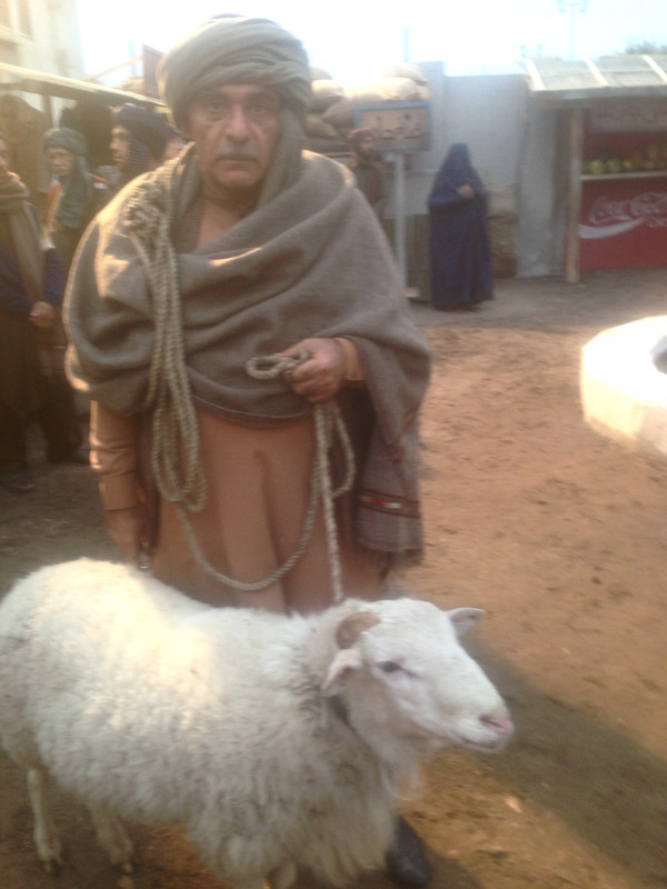 FullSizeRender (180)