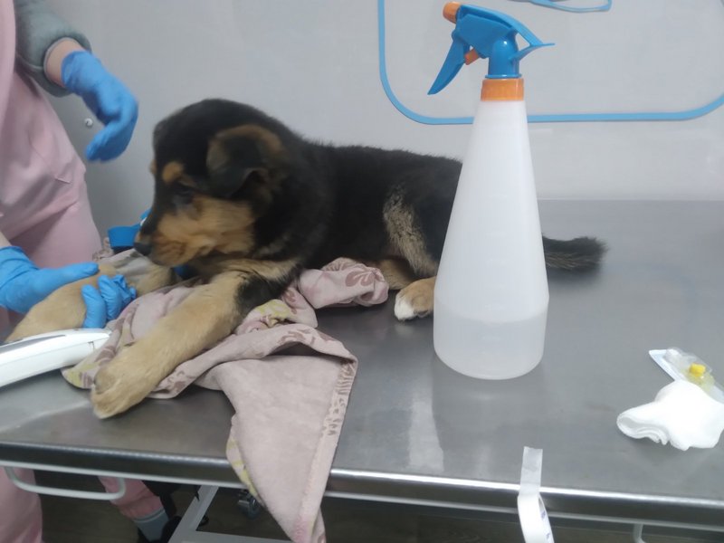 изображение_viber_2022-12-10_22-37-07-725