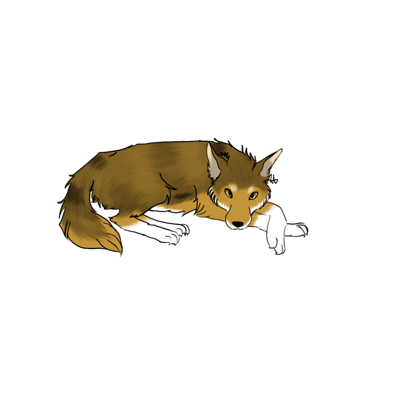 IMG-0320.png